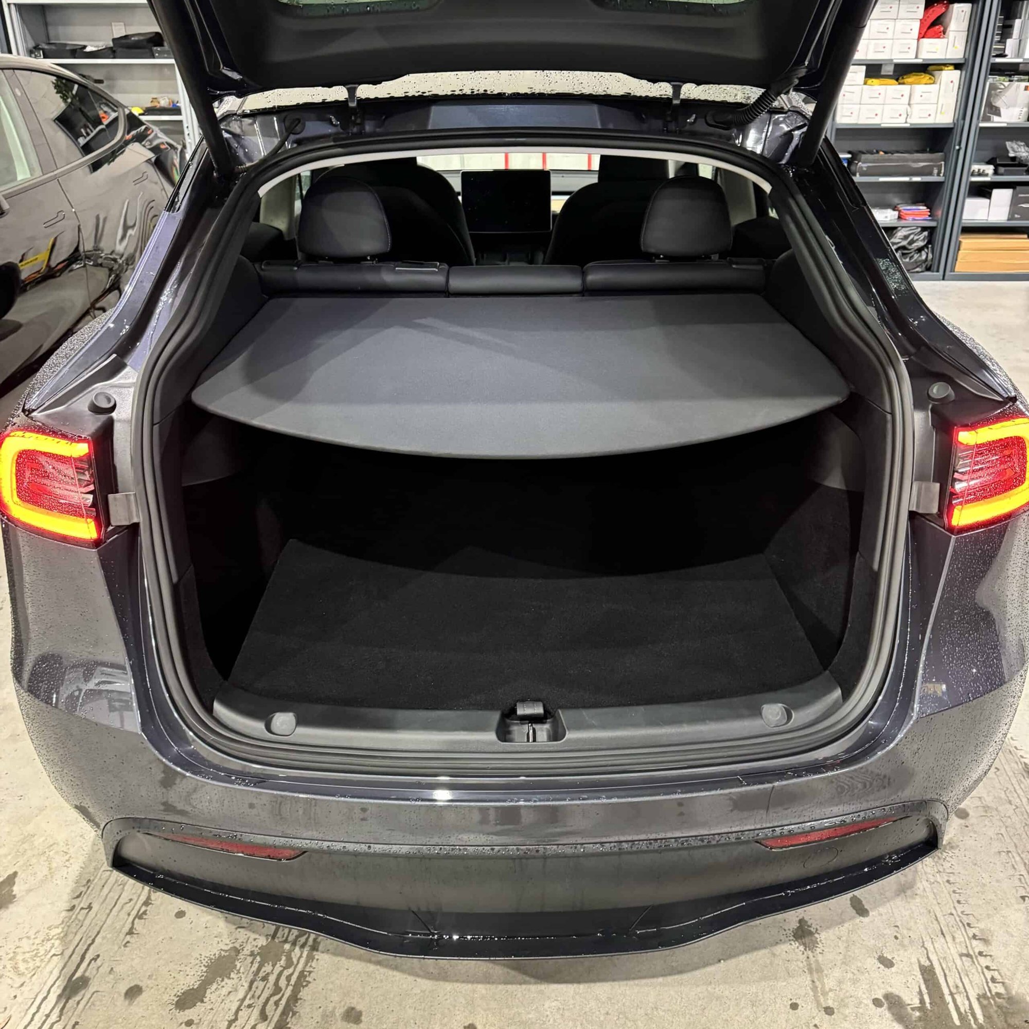 Tesla Model Y RWD MMX PACK + IAP — foto 19
