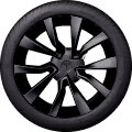 19 inch black